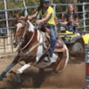 Meet your Posher, Brandi